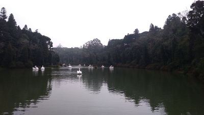 黑色的湖,Gramado
