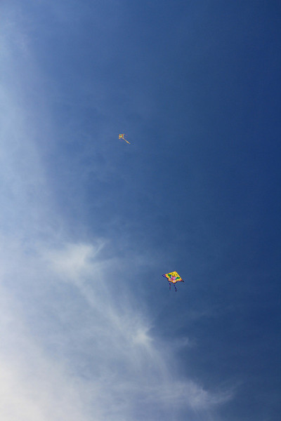 天空中的风筝