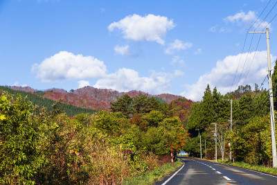 秋天在栗山地区地质公园，岩手县，日本东北。