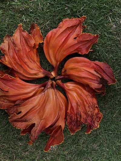 插花