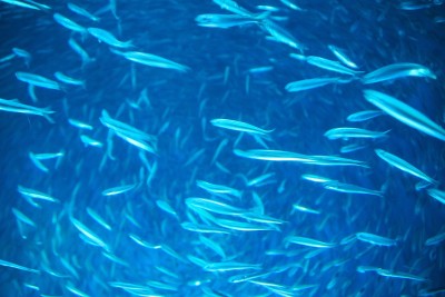 水族馆