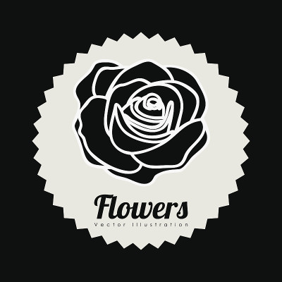 花的设计