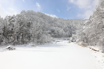 美丽的冬季高山白雪覆盖的景观。壮丽而静谧的晴天。(韩国江原道御田山国家公园)