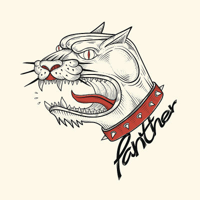 豹