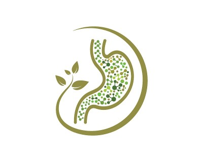 胃图标矢量插图设计