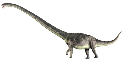 Omeisaurus白色