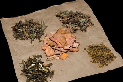 静物结合中药