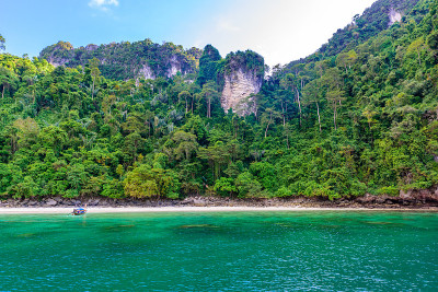 天堂湾的猴子海滩-从Loh Dalum海滩乘船约5分钟- Koh Phi Phi Don岛在甲米，泰