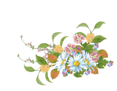 水彩鲜花花束