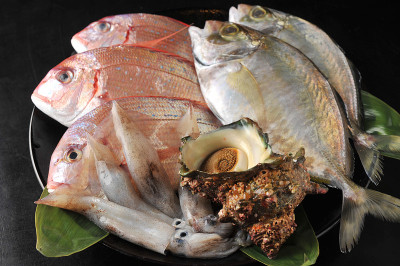 魚