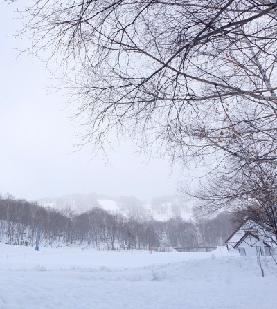 房子在雪地和树林中