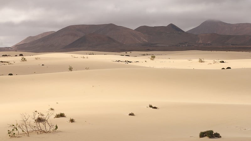 沙丘的Corralejo