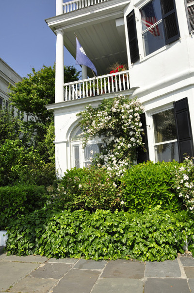 南方建筑,Charlston