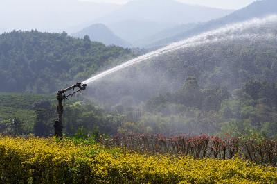 橙色田地的洒水器
