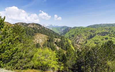 希腊伊庇鲁斯Pindus山脉的景观(1600米)