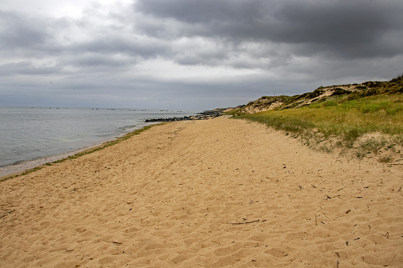 Ile d 'Oleron。Domino。阴天下的海滩。Charente-Maritime。新阿基坦