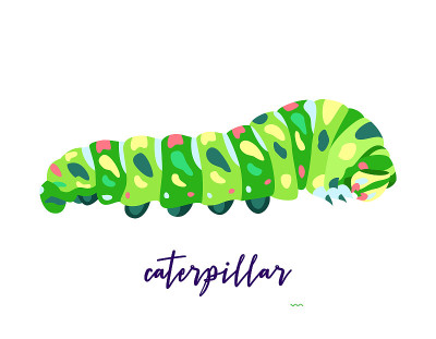 摘要昆虫插图