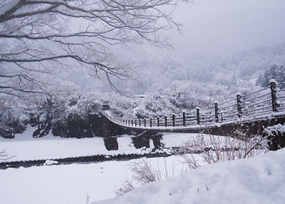 白川去