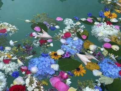 喷泉中五彩缤纷的花浴