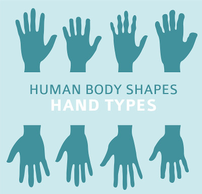 Human body shapes. Hand types icon set