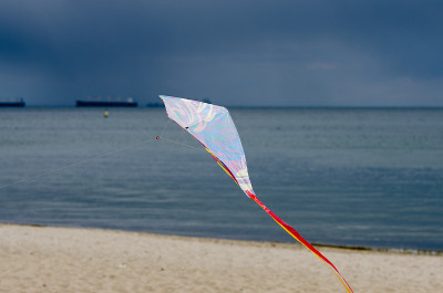 孩子们在海滩上玩风筝