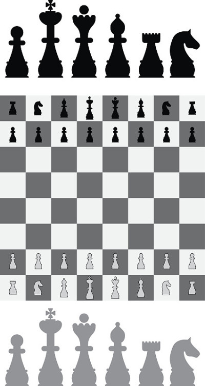 国际象棋组