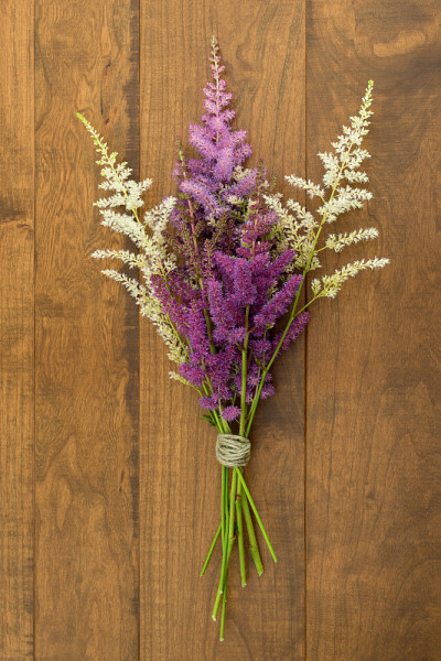 Astilbe
