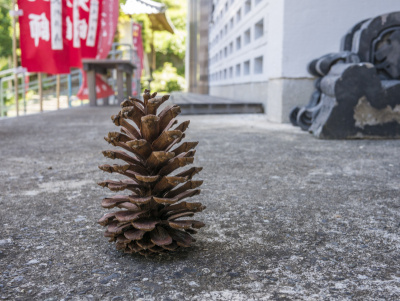 jizo