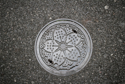 井盖上有樱花