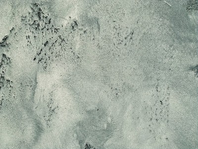 混凝土墙。结构的背景图片。