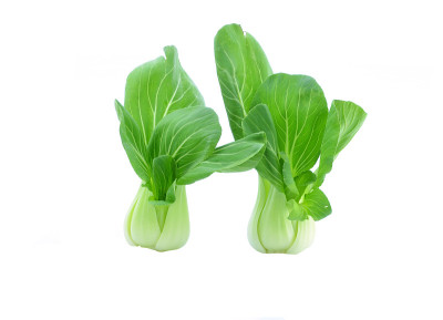 小白菜(白菜)孤立在白色上