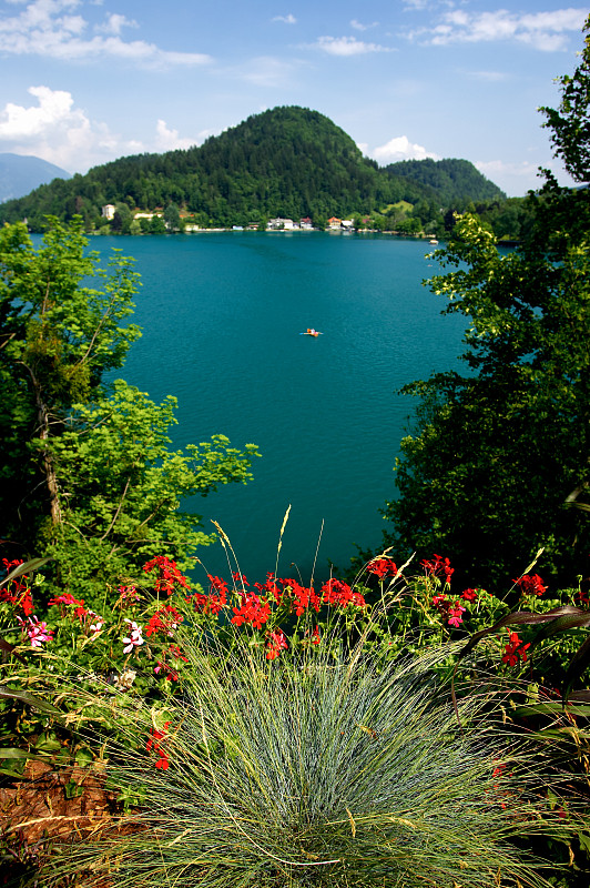 花与湖