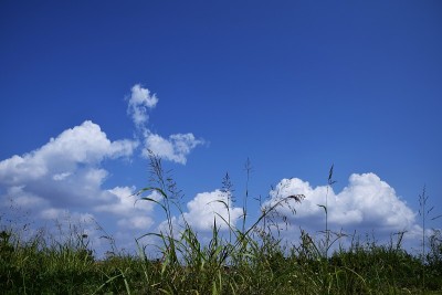 沿河的风景