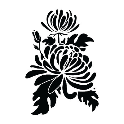 两朵菊花黑色填充轮廓，矢量剪影插图