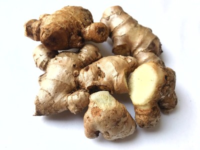 生姜根
