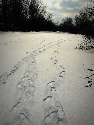 路和湖在雪地里