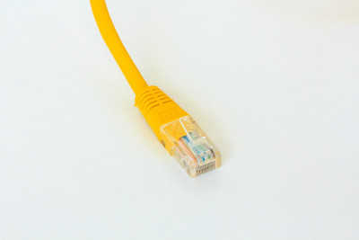 UTP CAT5网线白色背景隔离。