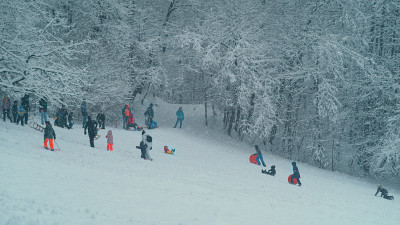 孩子们和家长们在禁闭期间玩雪橇，享受冬天的天气