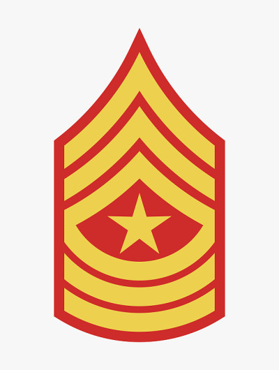 军衔和徽章。军队的条纹和Chevrons