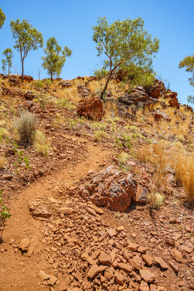 在karijini国家公园的weano峡谷边缘徒步旅行，澳大利亚西部
