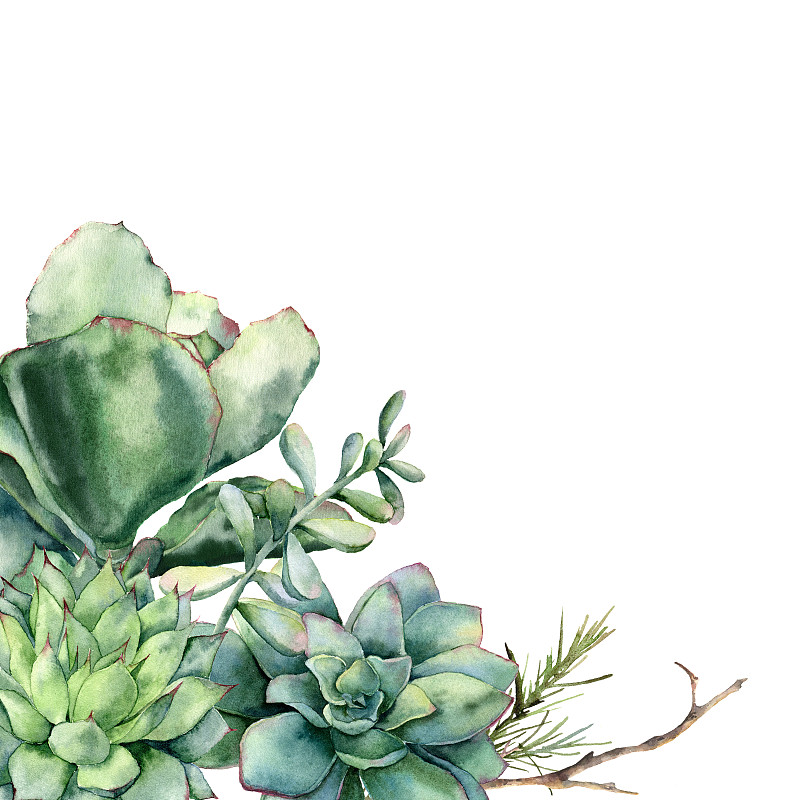 Watercolor card with bouquet of succulents and con