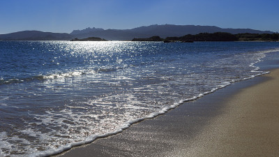 海滩背光
