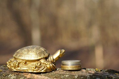 金属龟与硬币的特写。