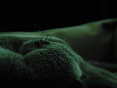 睡眠