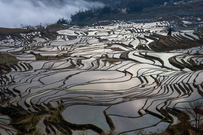 水稻梯田