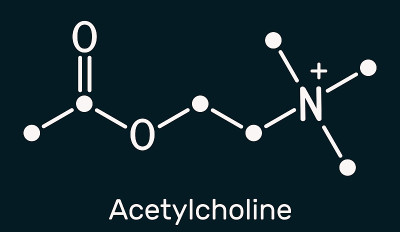乙酰胆碱,乙酰胆碱分子。它是拟交感神经递质、血管扩张剂、激素、人体代谢物。在深蓝色背景上的骨骼化学公