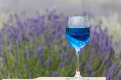 薰衣草田里的酒杯