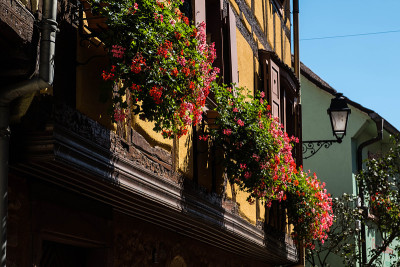 Eguisheim，房子里的色彩和窗户里的鲜花