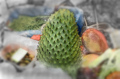 在模糊的背景上的异国水果番荔枝的Vintage插图