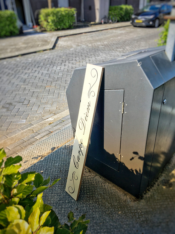 及时行乐:不要放弃明天你今天能塞进泥土里的东西。